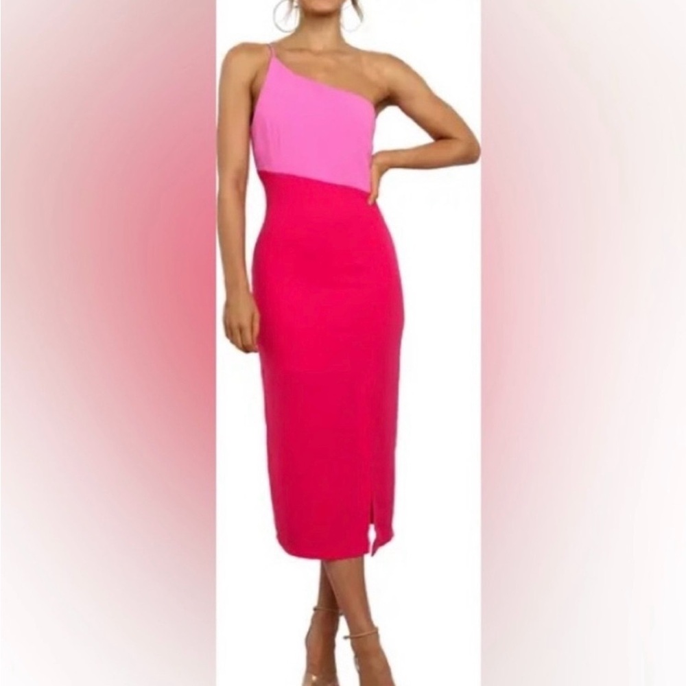 Beautiful Petal and Pup Colorblock Dress